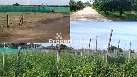 ដីលក់ ក្រោមតម្លៃទីផ្សារ