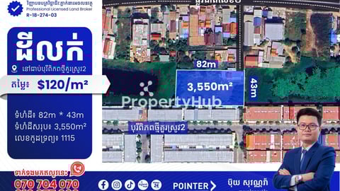 ដីលក់នៅជាប់បុរីពិភពថ្មីគួរស្រូវ2