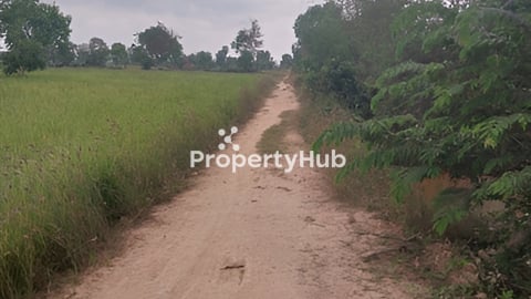 ដីលក់ក្រោមទីផ្សារ