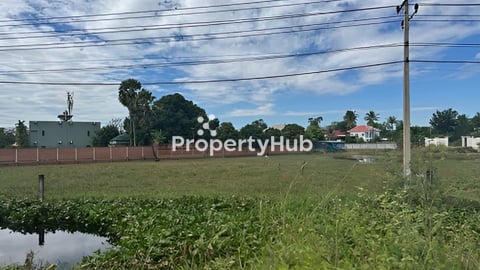 ដីអាជីវកម្មលក់ លើផ្លូវ ចុងកៅស៊ូ