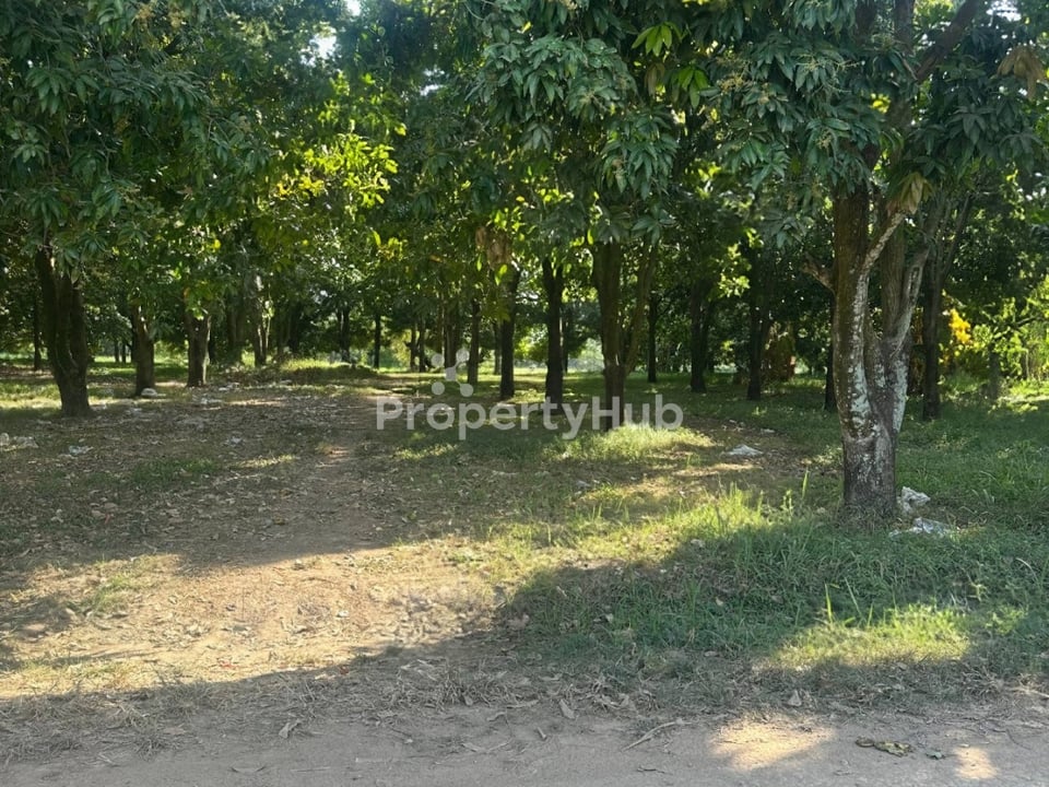 Property 5