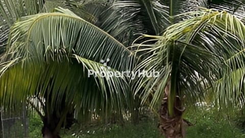 23x45 ដីកែងជិតបុរីឈូកវ៉ា២ ផ្លូវបេតុង16m $320,000