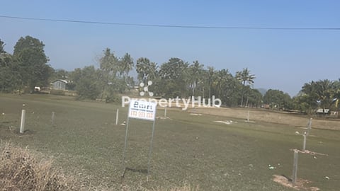 ដីលក់ថ្លៃដេីម​បន្ទាន់នៅខេត្តកំពត