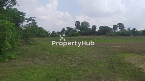 3081m2 លក់ 15000$