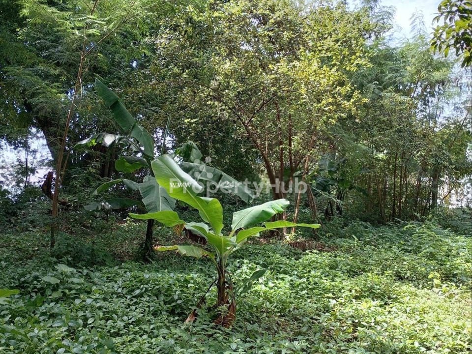 Property 3