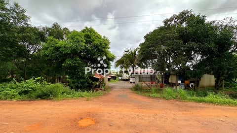 ដីលក់ កំពត