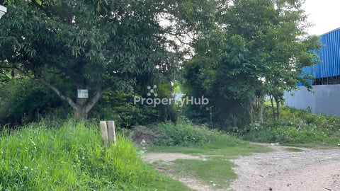 ដីលក់បន្ទាន់