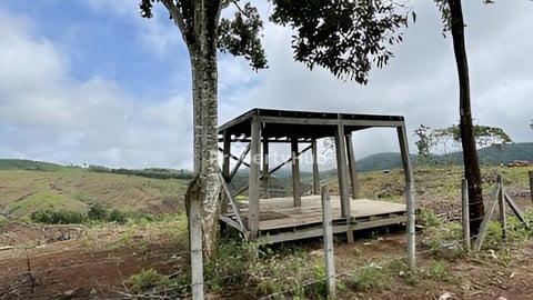 ដីចំការលក់នៅមណ្ឌលគីរី