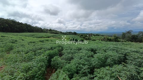 ដី8ហាត់ ពូត្រុំ ក្រុង សែនមនោរម្យ ខេត្តមណ្ឌលគីរី