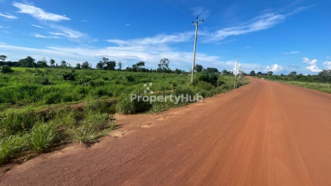 ដីលក់ ឬ ជួល ជាប់ផ្លូវធំ ក្បាលដី 320m