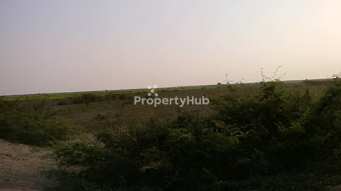 ដីលក់ក្នុងក្រុងព្រះវិហារ ក្រោយផ្សារកំពង់ប្រណាក