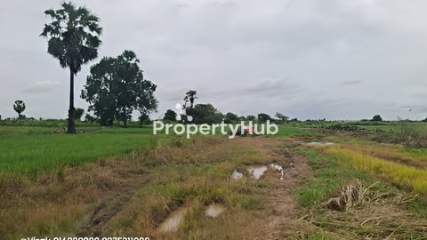 📢 ដីលក់នៅតំបន់អភិវឌ្ឍន៍ ក្រុងអរិយក្សត្រ