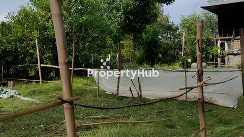 ដីលក់បន្ទាន់ បញ្ចុះតម្លៃពិសេស