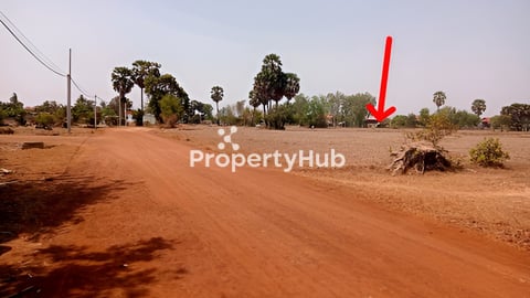 ដីលក់បន្ទាន់ តម្លៃក្រោមទីផ្សារ ក្រុងសៀមរាប