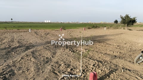 ដីឡូត៍ក្បែរព្រលានយន្ដហោះថ្មី