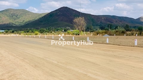 ដីឡូត៍​ខាងកំពង់សិលា