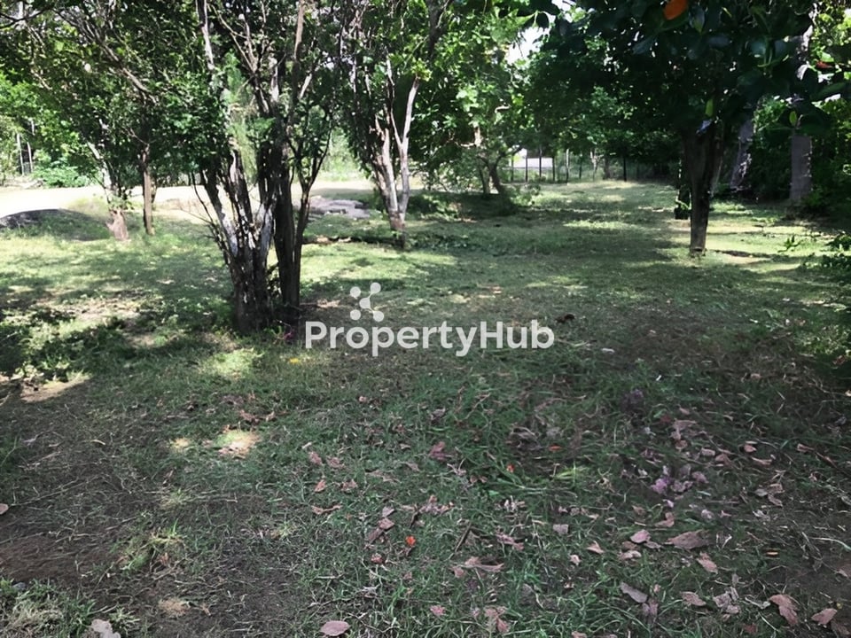 Property 4