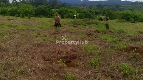 land for sell