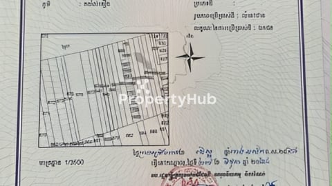 土地出租 ជ្រៃធំ 越南边境（本人）