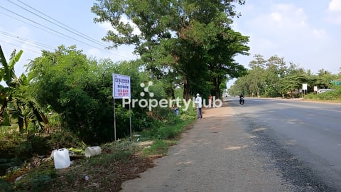 ដីសម្រាប់ជួល ឬលក់ នៅលើផ្លូវជាតិលេខ 4 ខេត្តកំពង់ស្ពឺ (ទំហំដីៈ 5ហិចតា)