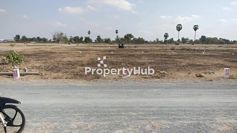 ដីលក់ប្លង់រឹង ផ្លូវជាតិលេខ ៣ ពីរឡូតិ៍ជាប់គ្នា