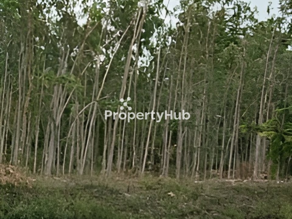 Property 2
