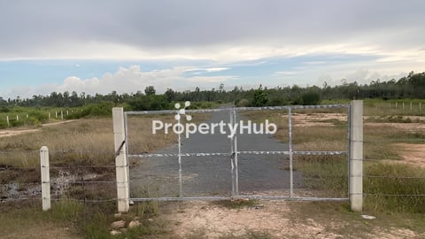 ដីលក់ ប្លង់រឹ (ទទឹង 50ម៉ែត្រ x បណ្តោយ 200ម៉ែត្រ )៖  (ហួសផ្សារបាតដឹងបន្តិច) ខេត្តកំពង់ស្ពឺ