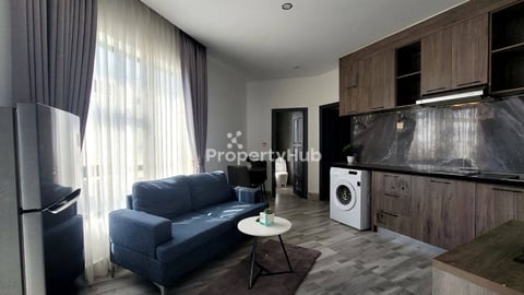 1 bedroom 400$ st 271