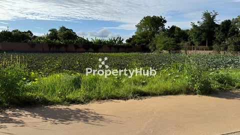 ដីលក់បន្ទាន់