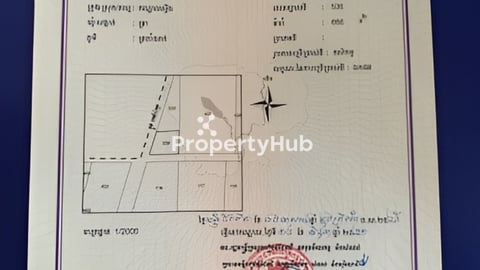 ដីឡូលក់20*29.5