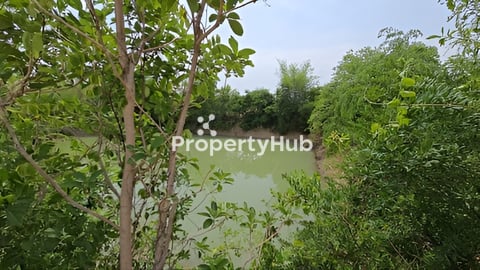 ដីលក់ឡៃឡុង