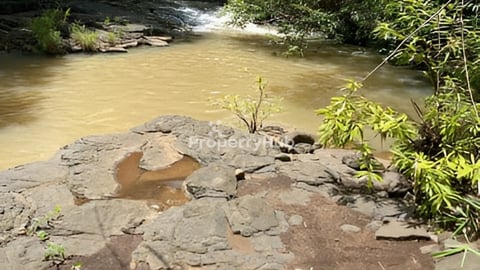 ដីលក់បន្ទាន់តំលៃ 1ហិកតា =7,500$