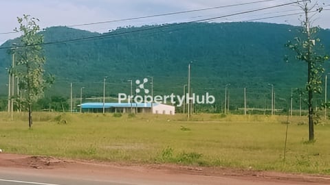 ដីលក់ (រម្មណីយដ្ឋានថ្មរូង)