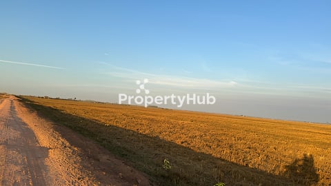 លក់បន្ទាន់