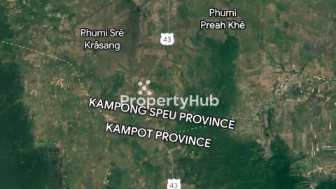 មានដីនៅបណ្តោយផ្លូវ លេខ43  កំពង់ស្ពឺ និង កំពត អាចរៀបបានរាប់រយហិចតា