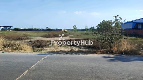 ដីលក់តម្លៃក្រោមទីផ្សារ