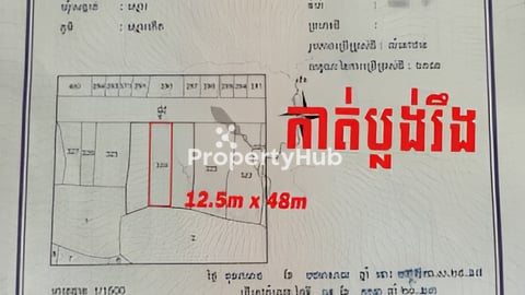 ដីអាជីវកម្មលក់នៅទីប្រជុំជនក្រុងភ្នំពេញ - ទំហំ 12.5m x 48m លើផ្លូវបេតុងរដ្ឋ - តម្
