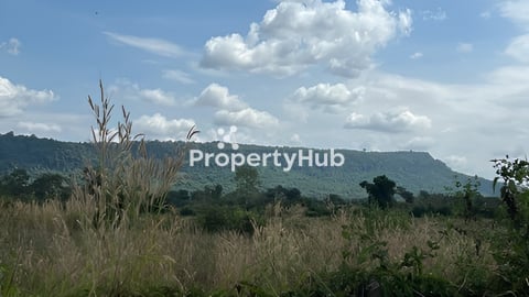 ដីចំការលក់ ធូថ្លៃ