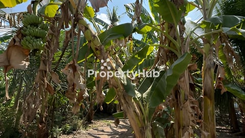 លក់ដីលំនៅឋានជិតកំពង់ផែស្វយ័តភ្នំពេញ