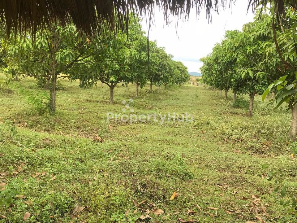 រូបភាពអចលនទ្រព្យទី 4