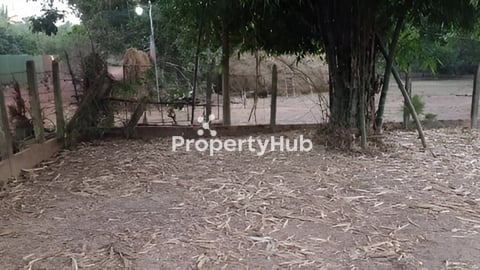 ដីលក់បន្ទាន់-សៀមរាប (26.5mx40m) $28500