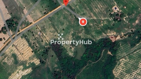 ដីលក់បន្ទាន់ស្ថិតនៅលើផ្លូវរដ្ធ50ម ( ដីម្ចាស់ផ្ទាល់)​