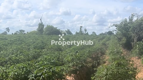 មានតែ 14ហិកតា តែប៉ុន្នោះtell012555634