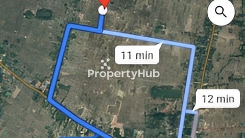 ដីស្រែលក់ធូៗ ដំដែក សៀមរាប ជិតព្រលានថ្មី