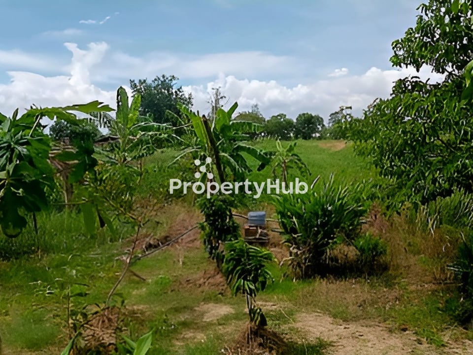 Property 4