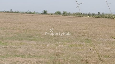 ទំហំដីជិត៤០ហិកតា នៅឃុំរលាប.ដីនៅមួយដុំតែមានប្លង់ច្រើន។ ១​ហិកតា 6500 USDប្លង់រឹងទាំងអស់