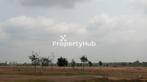 ដីលក់ ឬ ជួល ១៦ហិចតា