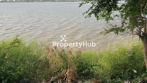 ដីទន្លេលក់បន្ទាន់