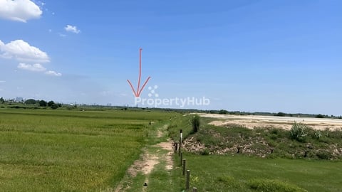 ល្វាឯម(ព្រែកតាអុង3 ពាមឧកញ្ញាអុង)