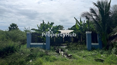 ដីលក់ ឬជួល